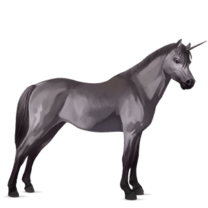 poney licorne quarter pony gris souris