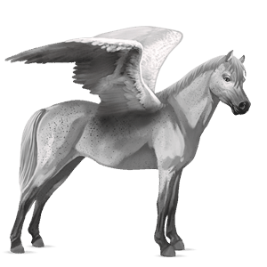 poney pégase gris truité