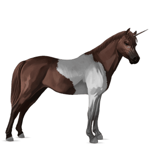 poney licorne bai