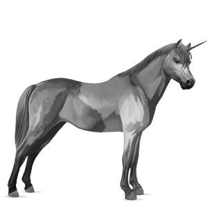 poney licorne quarter pony gris pommelé