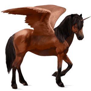 licorne de selle ailée paso péruvien bai cerise