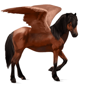 pégase de selle quarter horse rouan