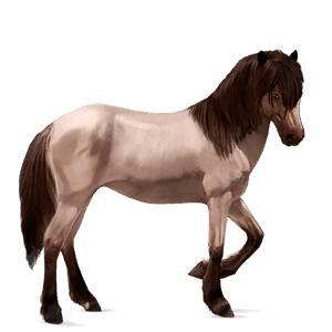 cheval de selle selle français alezan brûlé