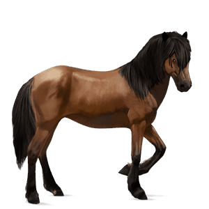 cheval de selle morgan bai
