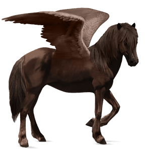 pégase de selle quarter horse aubère