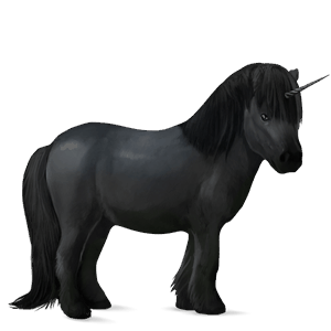 poney licorne bai brûlé