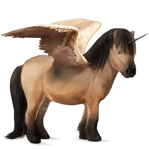 poney licorne ailé pottok pie tobiano bai brûlé