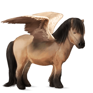 poney pégase isabelle