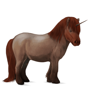 poney licorne shetland aubère