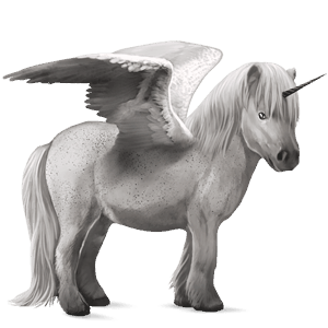 poney licorne ailé shetland gris pommelé