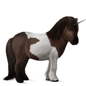 poney licorne pie tobiano bai brûlé
