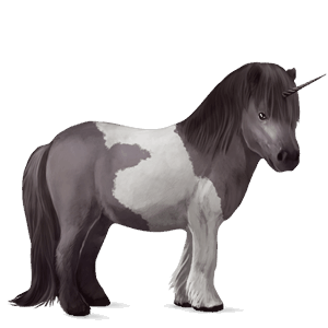 poney licorne poney de terre-neuve aubère
