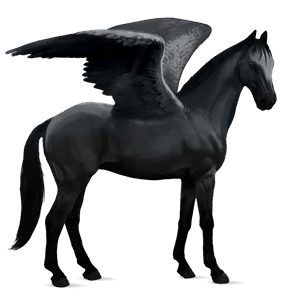 pégase de selle trakehner noir