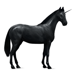 licorne de selle oldenbourg noir