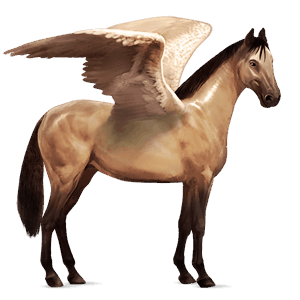 pégase de selle quarter horse isabelle