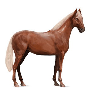 cheval de selle paint horse pie tobiano bai brûlé