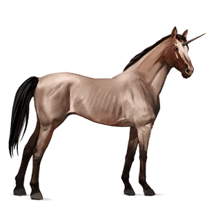 licorne de selle holstein bai
