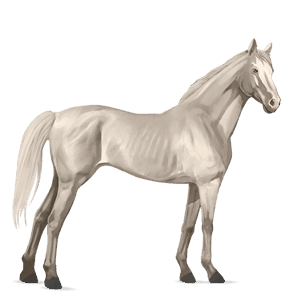 cheval de selle cremello