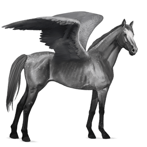pégase de selle akhal-téké gris pommelé