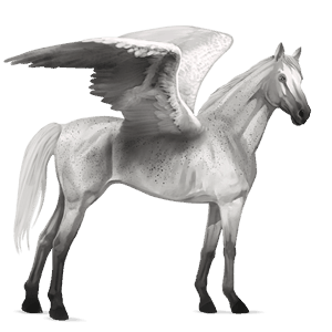 pégase de selle quarter horse gris pommelé