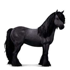 cheval de selle pure race espagnole gris clair