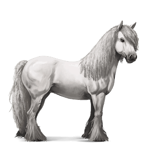 cheval de selle lusitanien gris clair