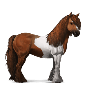 cheval de selle tinker pie tobiano alezan