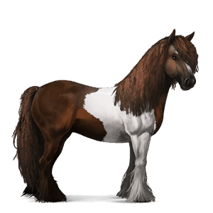 cheval de selle tinker pie tobiano alezan brûlé