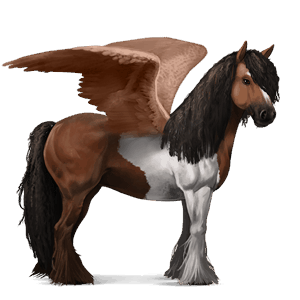 pégase de selle quarter horse gris pommelé