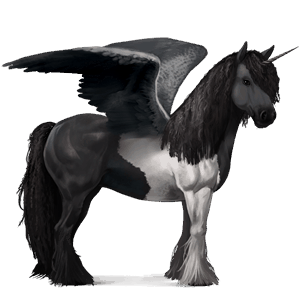 licorne de selle ailée tinker pie noir tobiano