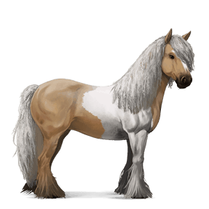 cheval de selle camargue gris truité