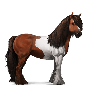 cheval de selle tinker pie tobiano bai cerise