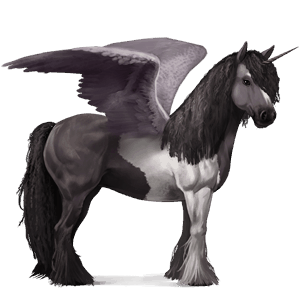 licorne de selle ailée pie noir tobiano