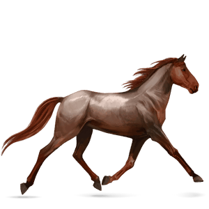 cheval de selle pur-sang anglais palomino