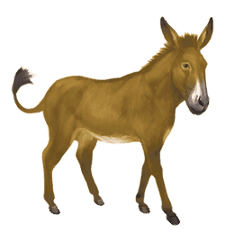 Âne marron