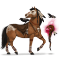 cheval de selle vilaine sorcière
