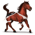 cheval de selle docteur fou