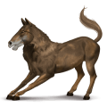 cheval de selle cheval-garou