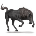 licorne de selle cheval-garou
