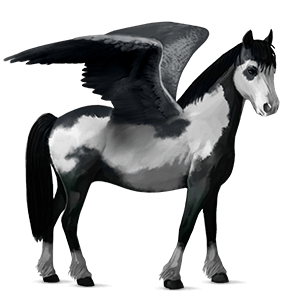 poney pégase welsh gris clair