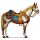 cheval de selle plaine