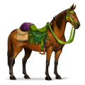 cheval de selle forêt