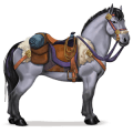 poney montagne