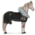 poney robe anne d'autriche