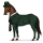 cheval de selle robe inspecteur lestrade