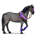 cheval de selle montagne