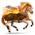 cheval divin alsviðr