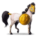 cheval de selle appaloosa spotted bai