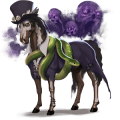 poney fjord brunblakk