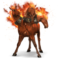 cheval de selle criollo argentin alezan